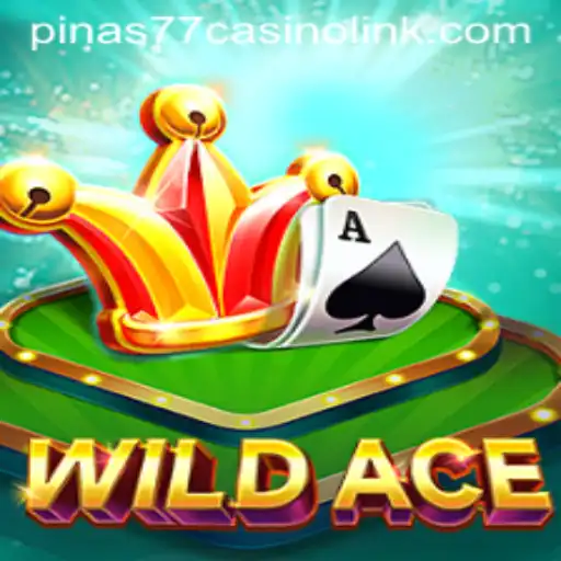 Exploring WildAce: A Thrilling Adventure in the Casino World